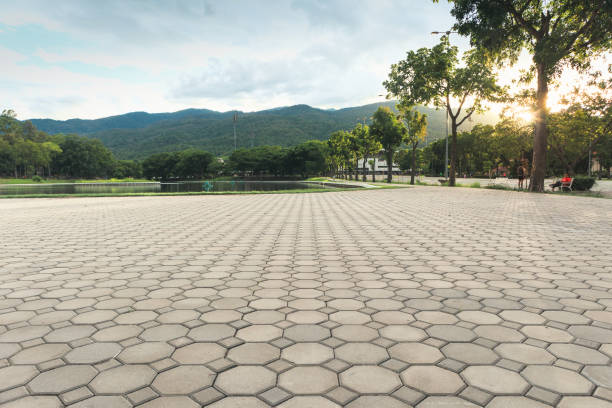 Best Driveway Pavers Near Me  in Forsyth, MT